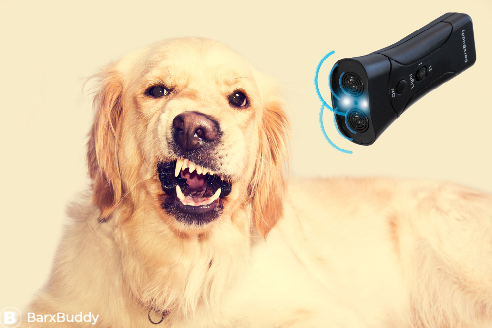 Barxbuddy dog training device review