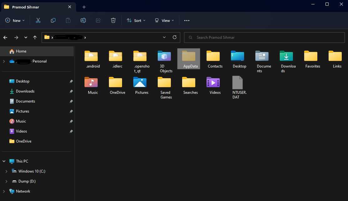 Atomic heart Save Appdata folder